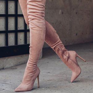 LOLA SHOETIQUE (Mink) Pointy Toe Thigh High Boots (7)